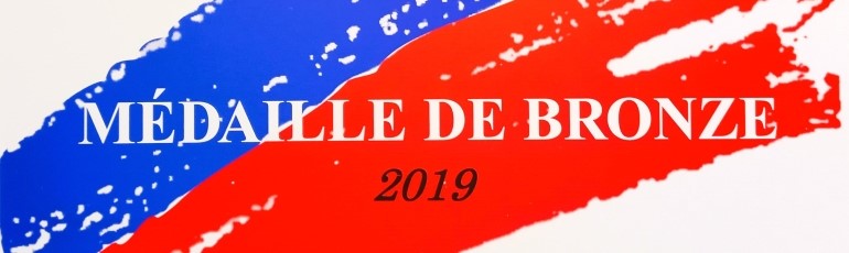 Médaille de Bronze de la Société des Artistes Français 2019