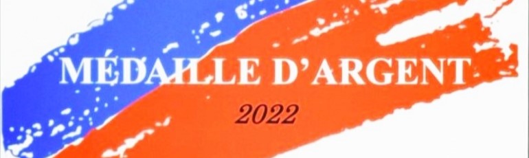 2022 : Médaille d'Argent du Salon des Artistes Français